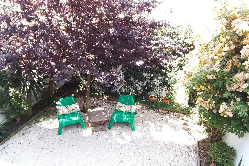 Apartment With Private Garden - Central Location Lisboa Eksteriør bilde