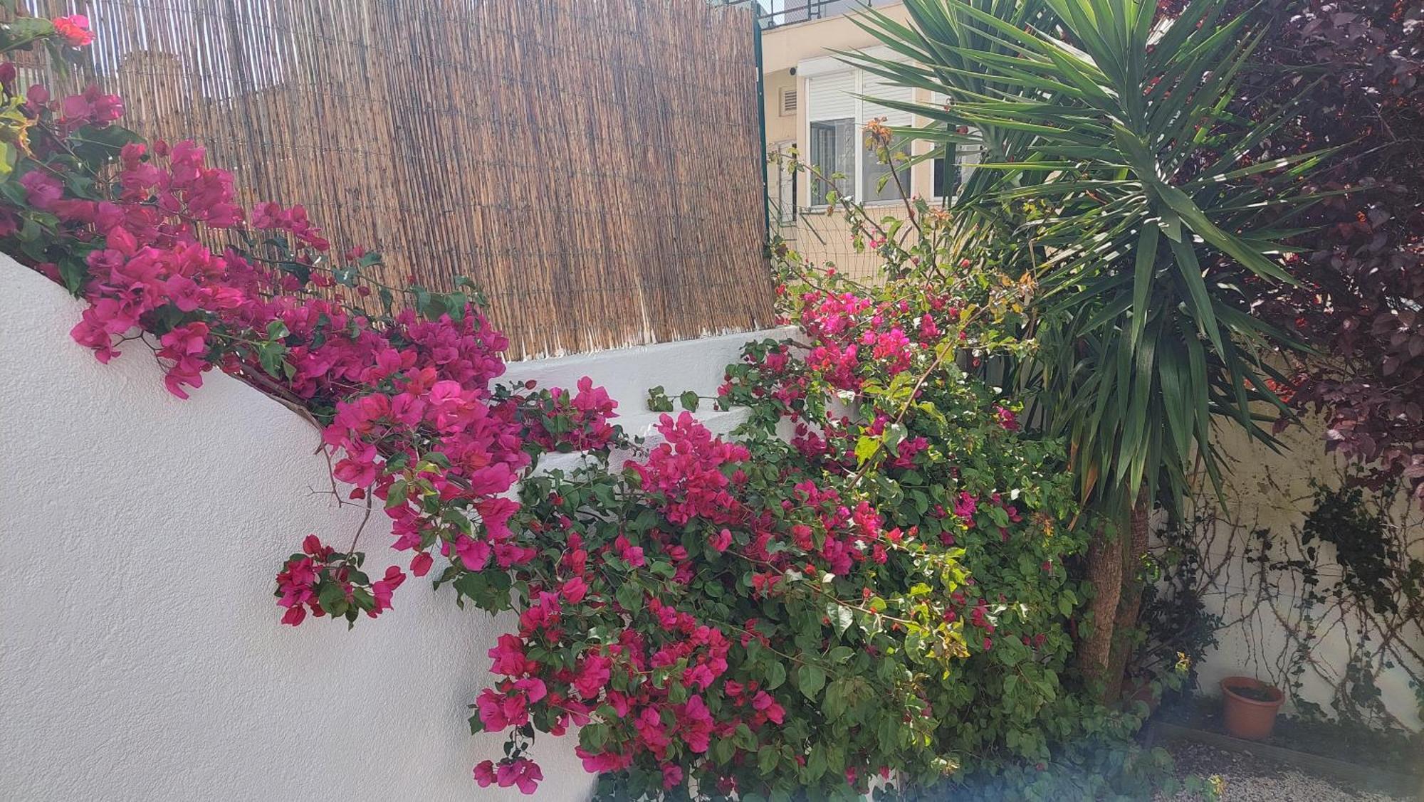 Apartment With Private Garden - Central Location Lisboa Eksteriør bilde